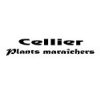 Cellier