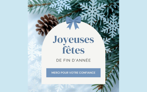PROMALYON vous souhaite un joyeux Noël et vous remercie pour votre confiance en 2025