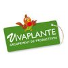 Vivaplante