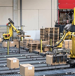 logistique__ DÉPOTAGE DE CONTAINER - REPALETTISATION INTUITIVE