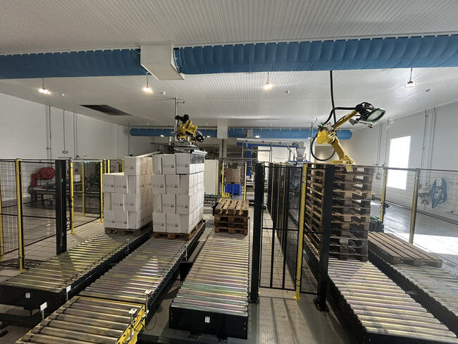 Système de palettisation robotisée pour la Glacière Narbonnaise